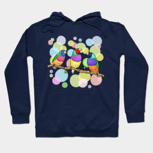 Gouldian finch birds Hoodie